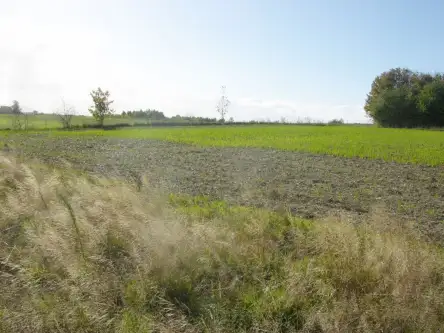 Szemudzka huta ,  Przejazdowa   12