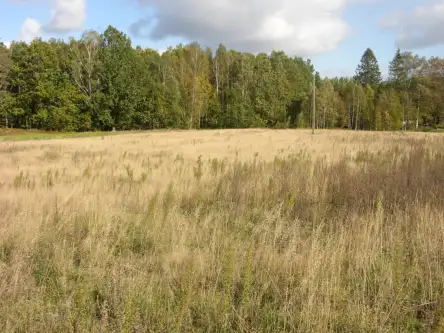 Szemudzka huta ,  Przejazdowa   13