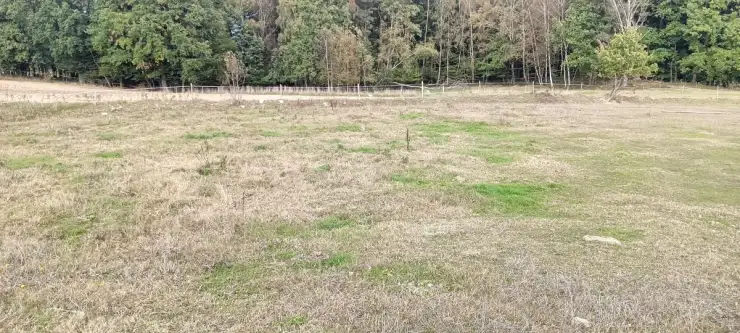  Szemudzka huta   Przejazdowa 