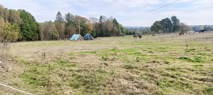 Szemudzka huta ,  Przejazdowa   3