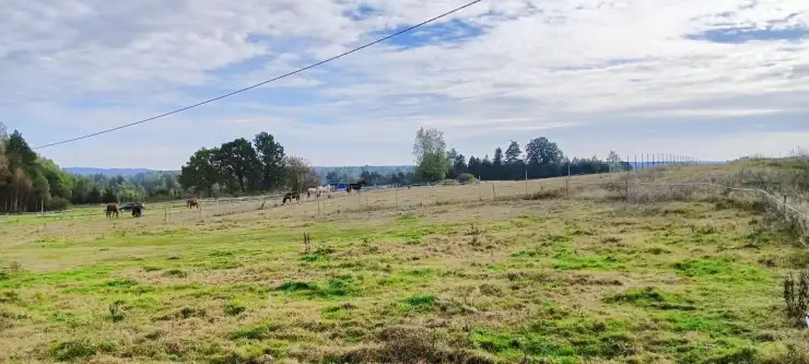 Szemudzka huta ,  Przejazdowa   5