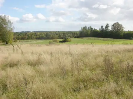 Szemudzka huta ,  Przejazdowa   9