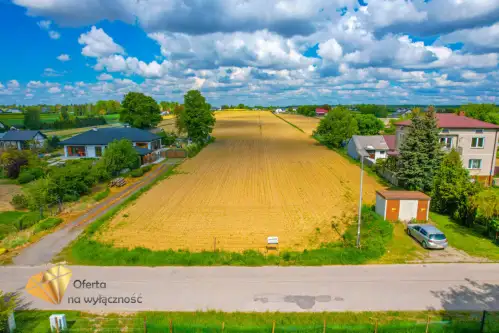  Zemborzyce podleśne  