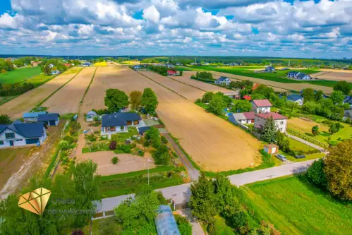 Zemborzyce podleśne   4