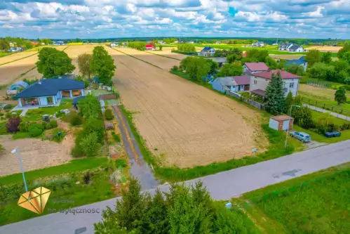 Zemborzyce podleśne   9