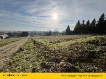 Miejsce piastowe   6