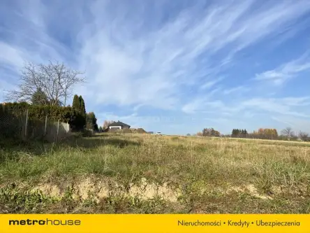 Miejsce piastowe   9