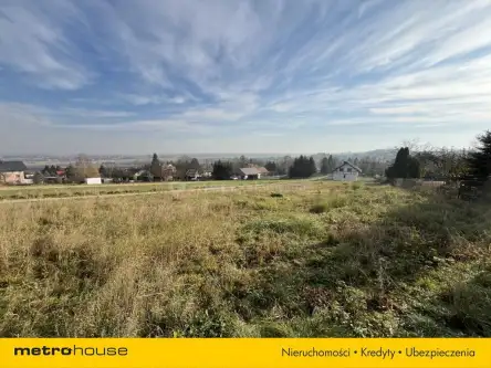 Miejsce piastowe   6