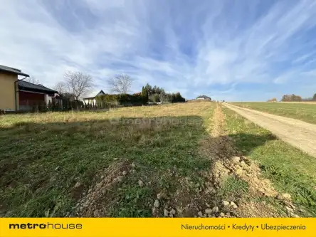 Miejsce piastowe   7