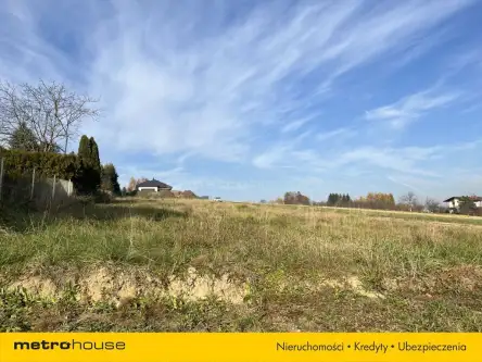 Miejsce piastowe   9