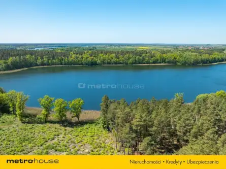 Tomaszkowo ,  Drozda   8