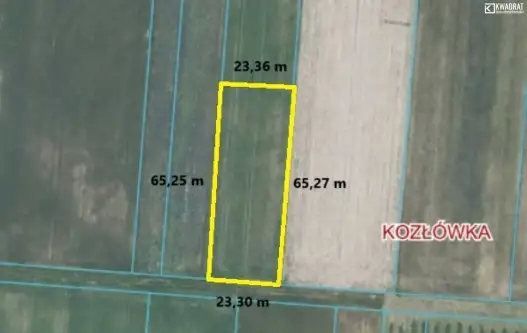 Kozłówka   2
