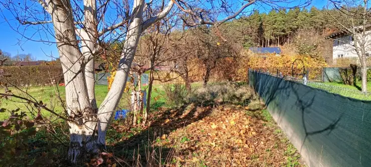 Gościcino ,  Drzewiarza   10