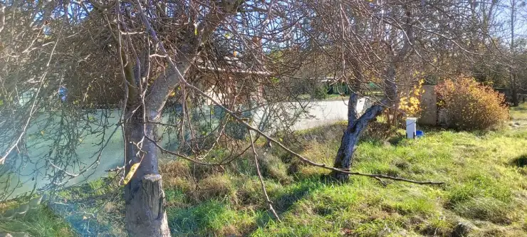 Gościcino ,  Drzewiarza   5