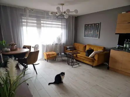 Kielce ,  Jagiellońska   4