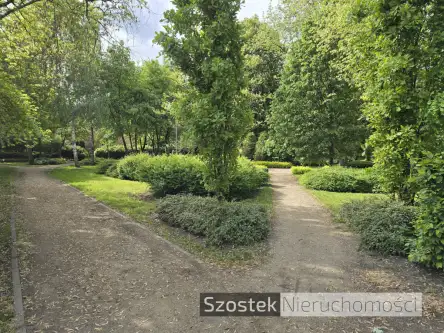 Częstochowa ,  Perla   16