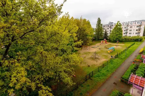 Olsztyn ,  Jana Boenigka   12