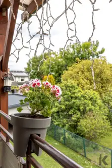 Nowy Sącz ,  Rafała Krajewskiego   9