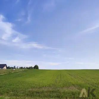 Krużlowa wyżna   4