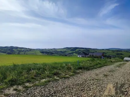 Krużlowa wyżna   5