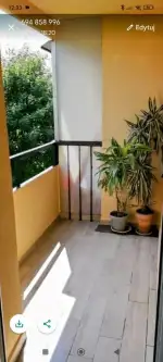 Kraków ,  Telimeny   2