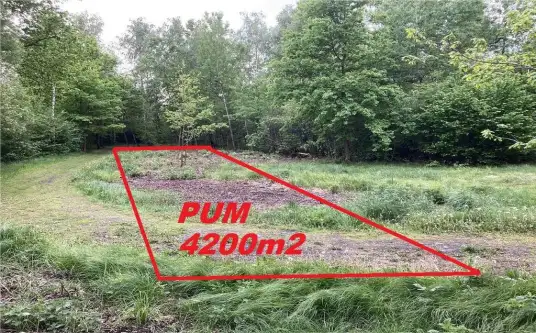 Wadowice ,  Jana Matejki   2