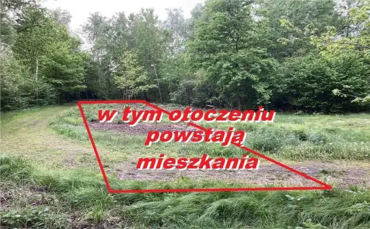 Wadowice ,  Jasna   5