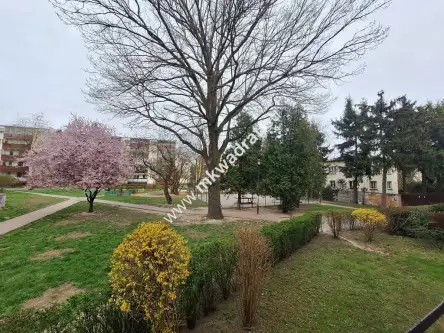 Pruszków ,  Ceglana   9