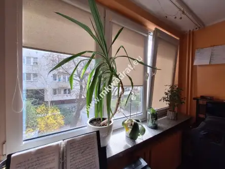 Warszawa ,  Franciszkańska   8