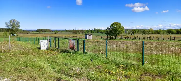 Częstkowo ,  Przetoczyńska   11