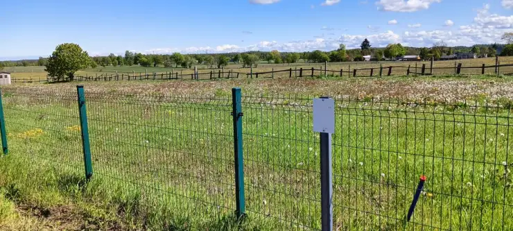 Częstkowo ,  Przetoczyńska   12