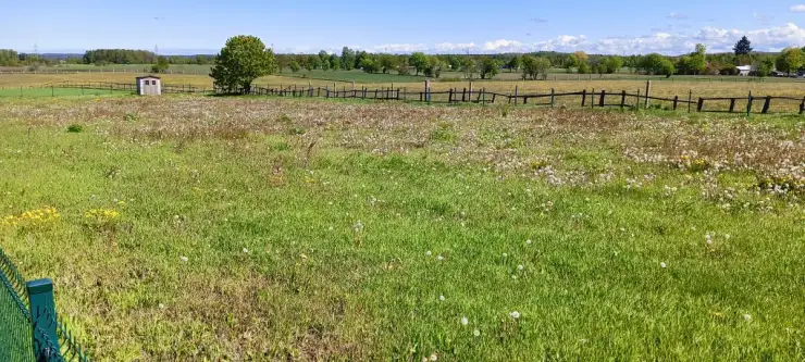 Częstkowo ,  Przetoczyńska   13