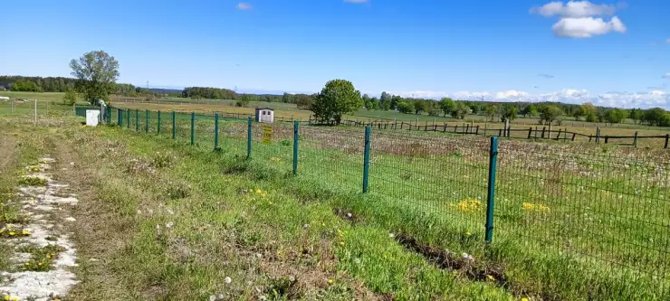 Częstkowo ,  Przetoczyńska   14