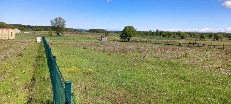 Częstkowo ,  Przetoczyńska   5