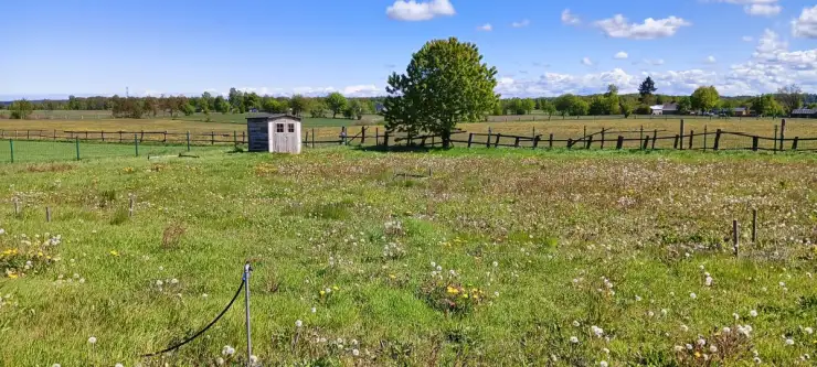 Częstkowo ,  Przetoczyńska   7