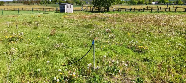 Częstkowo ,  Przetoczyńska   8