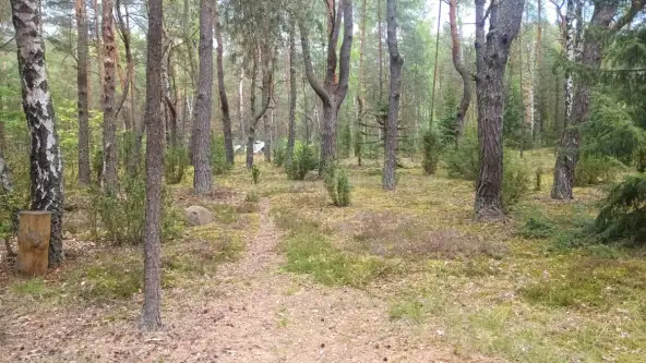 Popowo-letnisko ,  Wrzosowa   20