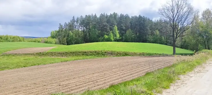 Donimierz ,  Górki   9