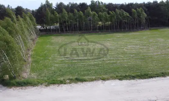 Kruszyn ,  Północna   5