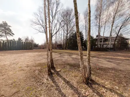 Złotokłos ,  Staszica   4