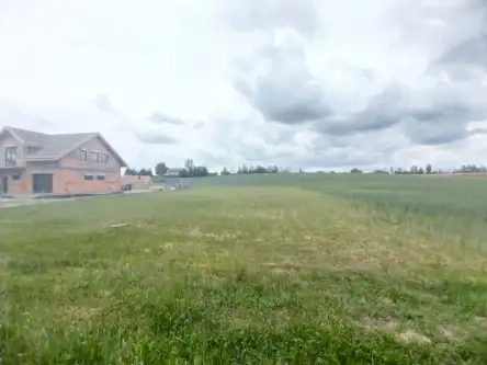 Rybno wielkie ,  Kasztanowa   10