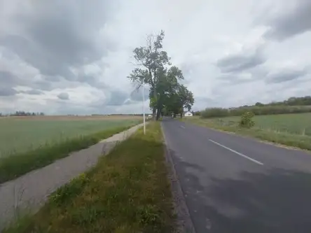 Rybno wielkie ,  Kasztanowa   16