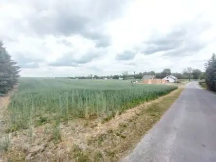 Rybno wielkie ,  Kasztanowa   19