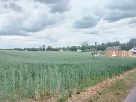 Rybno wielkie ,  Kasztanowa   3