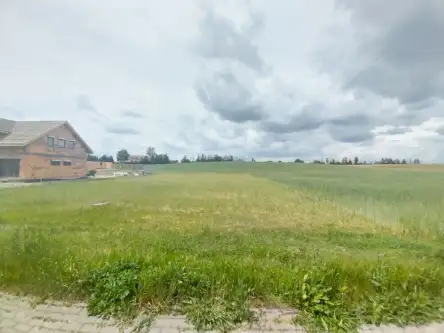 Rybno wielkie ,  Kasztanowa   7