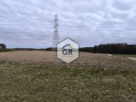 Skorzewo ,  Łubinowa   11