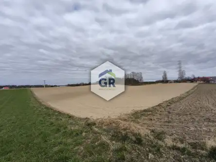 Skorzewo ,  Łubinowa   3