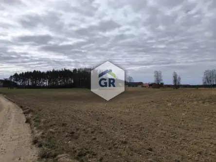 Skorzewo ,  Łubinowa   6