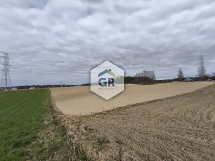 Skorzewo ,  Łubinowa   8