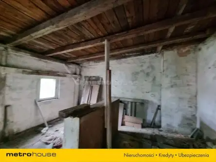 Katowice ,  Jankego   4